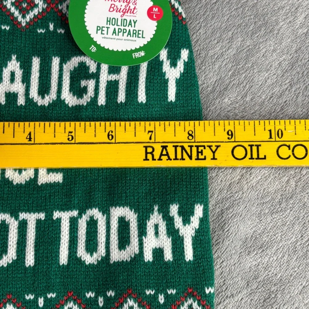 Merry & Bright Holiday Pet Sweater M/L Green Naughty Nice Not Today Pom Pom Knit